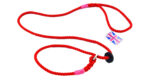 Deluxe Dog Lead Red